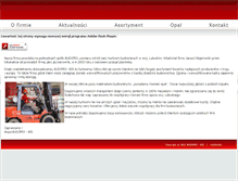 Tablet Screenshot of budopex.com